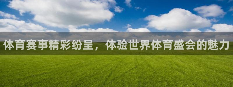体育赛事精彩纷呈，体验世界体育盛会的魅力